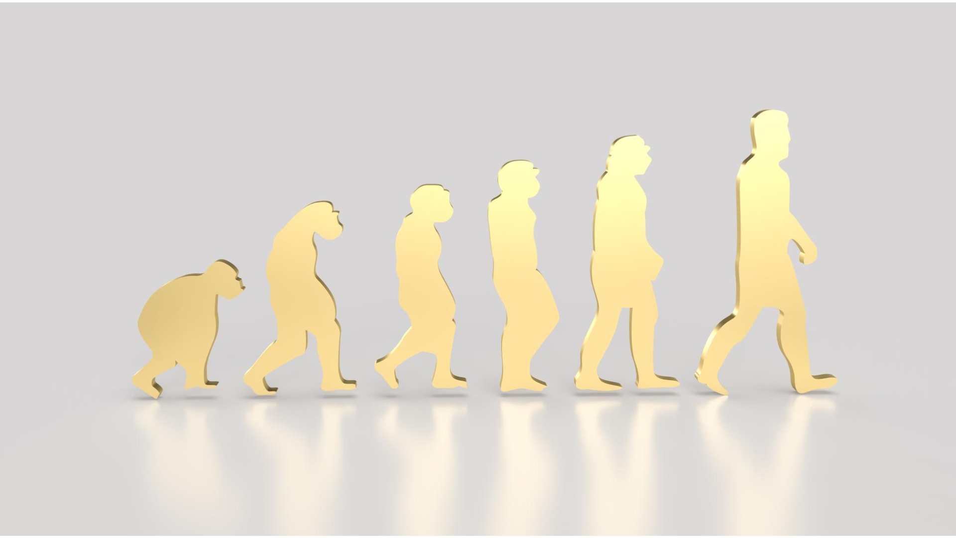 Why Domain Specific Competency Frameworks Beat Generic Skill Lists