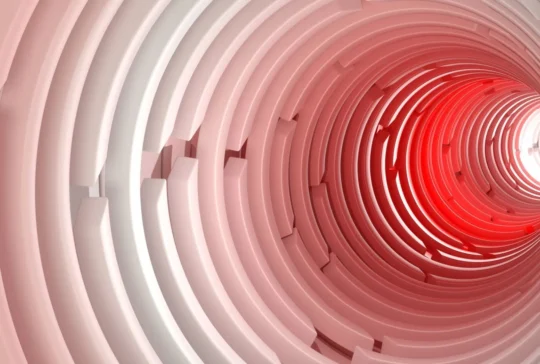 Talent Risk Management: Why Transformations Stall