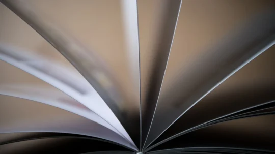 image for Org Design as a Business System: A CEO Playbook