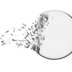capability assurance for leadership and organizational readiness