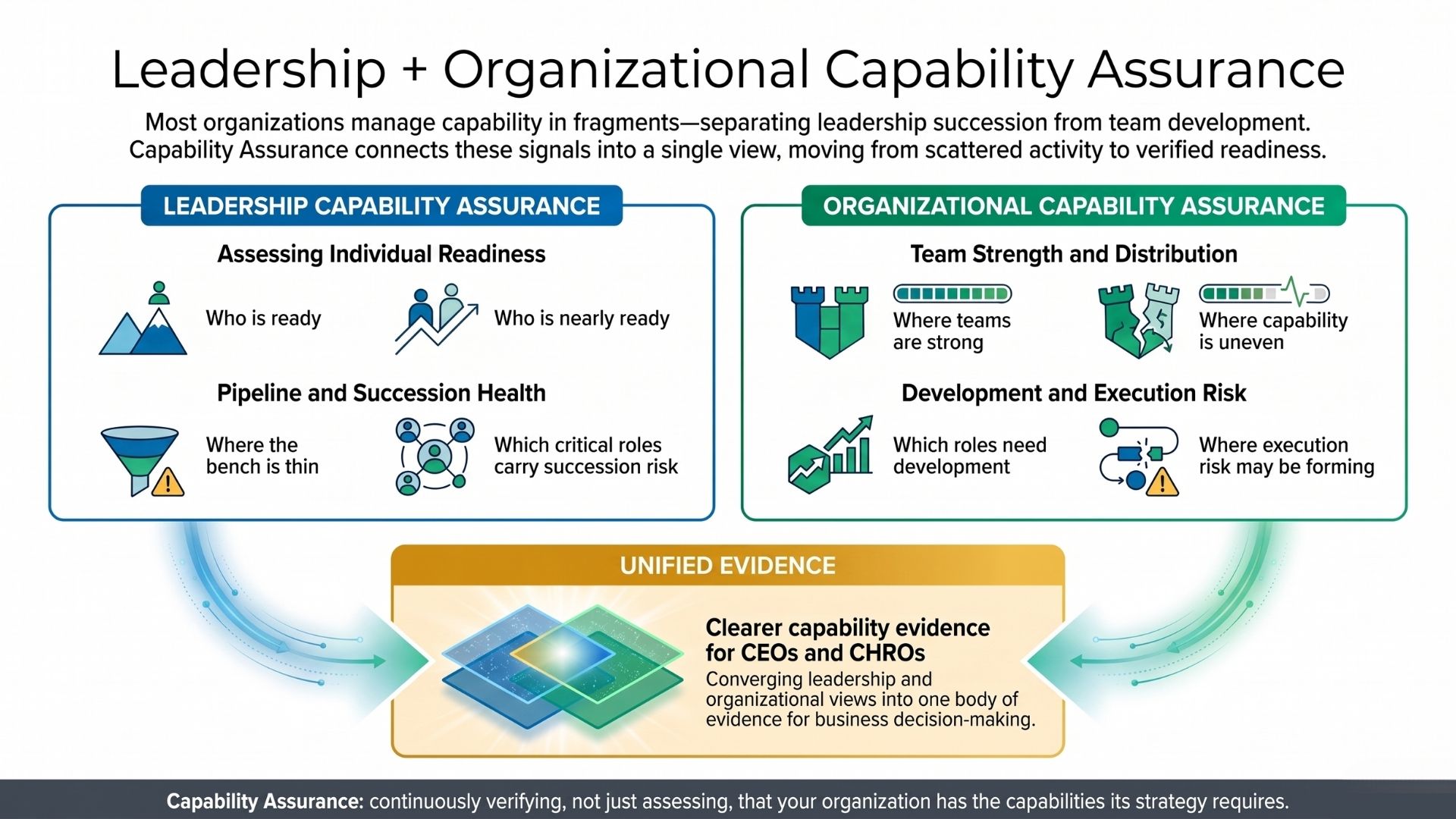 image for Leadership + Organizational Capability Assurance